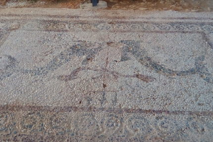 Мозаика на холме Фабрика в Като Пафосе